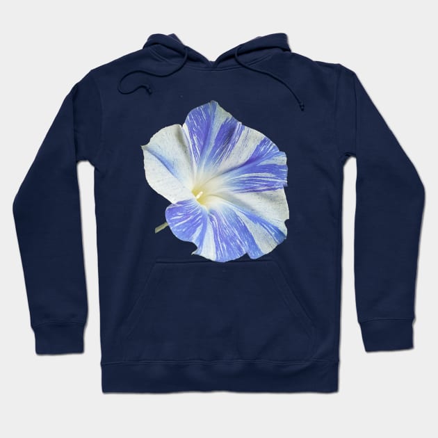 Good Morning, Morning Glory Hoodie by Betty500_B